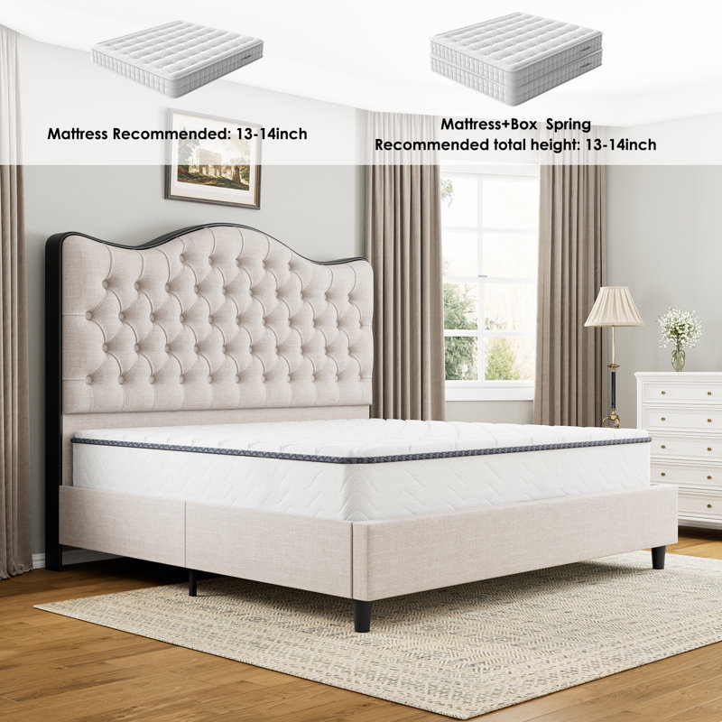 Willa Arlo Interiors Parley 55.1 Tall Upholstered Bed Wood Bed Frame with Tufted Headboard Reviews Wayfair
